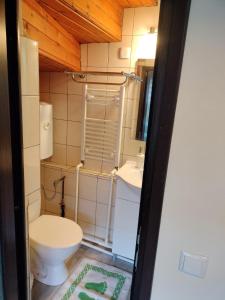 a small bathroom with a toilet and a sink at Lar&Den in Predeal