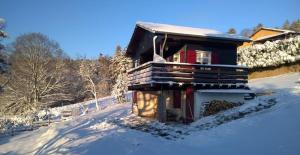 a small wooden cabin in the snow with snow at Le chalet de Rothenbuhl in Dabo
