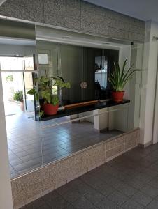 a room with potted plants on a wall at La casa de Emma in Córdoba +24 photos