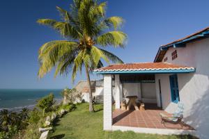 a house with a palm tree next to the ocean at Serra da Redonda in Redonda