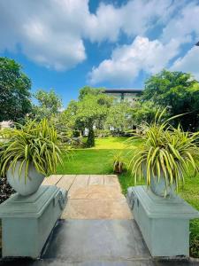 two large concrete pots with plants in a park at Four Points Resort - Anuradhapura in Anuradhapura
