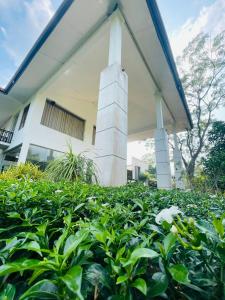 A garden outside Four Points Resort - Anuradhapura