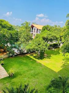 A garden outside Four Points Resort - Anuradhapura
