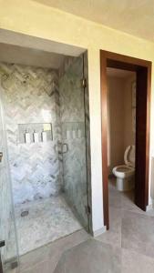 a bathroom with a shower and a toilet at TRASTEVERE in Tlaxcala de Xicohténcatl
