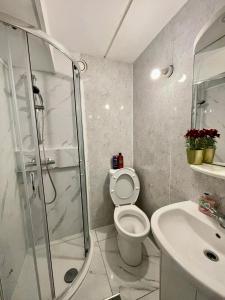 a bathroom with a shower and a toilet and a sink at 3BR Central London close Station in London