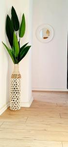 a vase with a plant in the corner of a room at Sophie Dream Apartment, City Center , Beachfront in Durrës