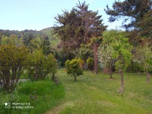 a park with trees and grass with a hill in the background at Preciosa Parcela en Calera de Tango in Santiago