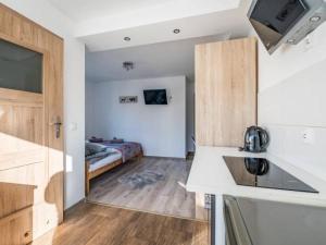 una cocina con fregadero y una cama en una habitación en Pokoje i apartamenty Wierchy Zakopane en Zakopane