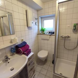 a bathroom with a sink and a toilet and a shower at Siebeneichen in Affalterbach