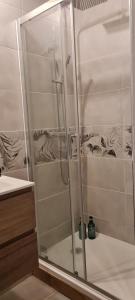 a shower with a glass door in a bathroom at Studio 4 personnes aux pieds du château de Blois avec expérience de dormir sous les aurores boréales in Blois +27 photos