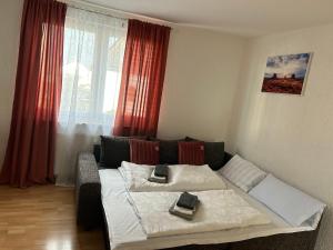 a living room with a bed and a window at Wohnung VS in Villingen-Schwenningen