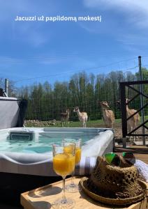 阿尼克什奇艾的住宿－Rubikiai LUX Duplex Apartamentai，一群长颈鹿站在游泳池旁