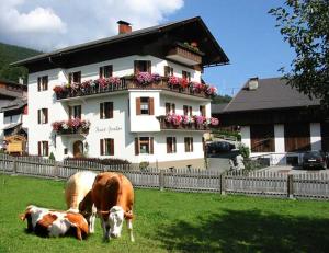 duas vacas a pastar num campo em frente a uma casa em Erlebenswert Bauernhof Gruber em Sankt Lorenzen im Lesachtal