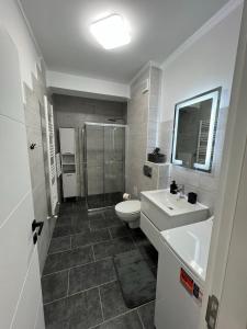 a bathroom with a toilet and a sink and a shower at Arini Cozy Corner in Şelimbăr