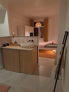 a kitchen with a counter and a room with a bed at Appartement Maison de Maître in Seraing