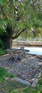 a picnic table under a tree next to a lake at BLRK 285 in Rotterdam