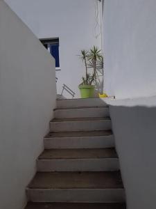 a staircase in a house with a potted plant at L'appartement in Le Pradet