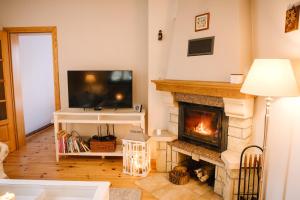 a living room with a fireplace and a television at Zacisze nad Sanną 