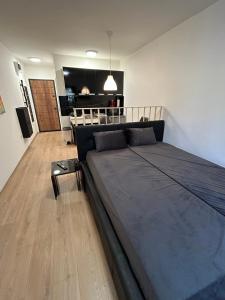 ein Schlafzimmer mit einem großen Bett und ein Wohnzimmer in der Unterkunft MD STUDIO in Novi Sad