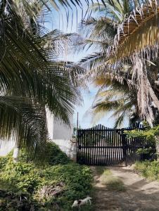 un perro parado bajo una palmera junto a una valla en Príncipe azul, en Puerto Colombia