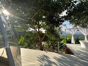a house with a view of a tree on a roof at Arabica Lodge (อาราบิก้า ลอดจ์) in Ban Huai Khai