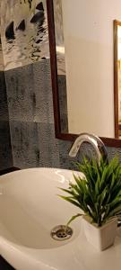 a bathroom sink with a potted plant on it at Oasis Beach Resort in Agonda
