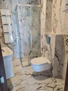 a bathroom with a toilet and a glass shower at Villa Montaigne Apartman 9 Hit in Zlatibor