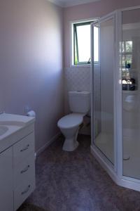 a bathroom with a toilet and a glass shower at Fantail Cottage in Hamilton