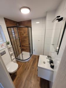 a bathroom with a shower and a toilet and a sink at Domek na Szczycie u Basi in Udryń