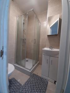 ein Badezimmer mit Dusche, Toilette und Waschbecken in der Unterkunft Exclusive Self-contained flat in Middlesbrough in Middlesbrough