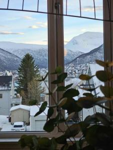 een raam met uitzicht op een besneeuwde berg bij Amazing Tromsø city apartment with free parking and lovely city views! in Tromsø