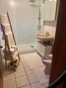 a bathroom with a toilet and a sink at Fachwerk in Bergfreiheit in Bad Wildungen