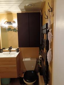 a bathroom with a toilet and a sink and a mirror at STUDIO le FOREST SKIS AUX PIEDS in Vars +5 photos