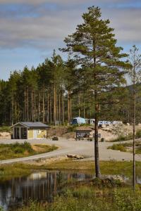 un arbre en face d'un camping avec un bâtiment dans l'établissement Luxury tent - Villmarkseventyret, à Håtvet