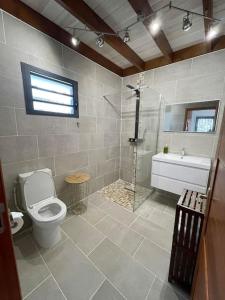 a bathroom with a toilet and a shower and a sink at Austral House-chalet sud sauvage in Saint-Joseph