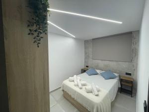 sypialnia z łóżkiem z niebieskimi poduszkami w obiekcie Benidorm JL 1 y 2 w mieście Benidorm
