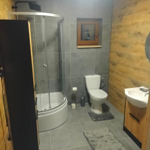 een badkamer met een douche, een toilet en een wastafel bij Domek całoroczny in Buda Ruska