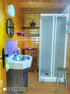 een badkamer met een wastafel en een douche bij Apartamentos Rurales El Rincón del Jerte in Rebollar