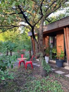 a picnic table and a red bench under a tree at Un jardin en ville in Toulouse