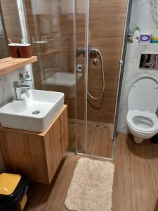 Kamar mandi di Apartmani Gavric Borovi 2