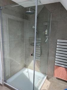 a shower with a glass door in a bathroom at Licht+Luft, Wohnen auf Zeit in Bad Nauheim