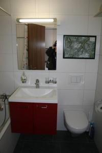 een badkamer met een wastafel, een toilet en een spiegel bij MicroAppartment with bath and cozy balcony in Davos