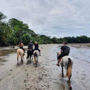a group of people riding horses on the beach at Lodge LA EMBERÁ I Osez l'insolite tout confort 
