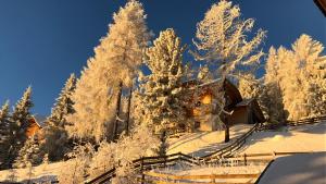 een huis bedekt met sneeuw voor de bomen bij Ferienhaus Kärnten Stückler in Hochrindl