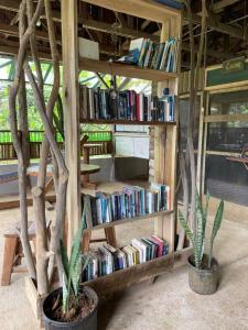 zwei Pflanzen vor einem Bücherregal mit Büchern in der Unterkunft Granja Integral Luz Del Corazon 