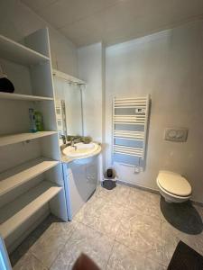 uma casa de banho com um WC e um lavatório em Duplex F2 - proche GARE TGV em Mulhouse