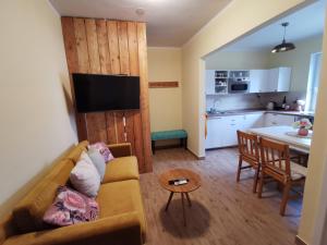 特倫欽溫泉鎮的住宿－Apartmán PAWLONIA，带沙发的客厅和厨房
