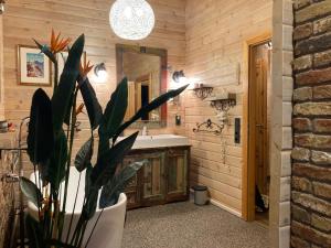 a bathroom with a sink and a potted plant at Blockhaus Kik im Harz in Sankt Andreasberg