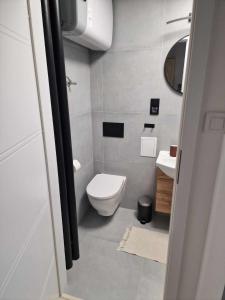 Apartament Gryfice في غريفيتسه: حمام صغير مع مرحاض ومغسلة