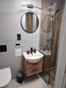 Apartament Gryfice في غريفيتسه: حمام مع حوض ودش ومرآة